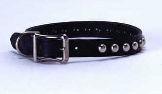dog-collar