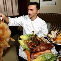 Loews Hotels Spaniel Stuffing