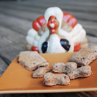 Turkey and Cranberry Dog Treats