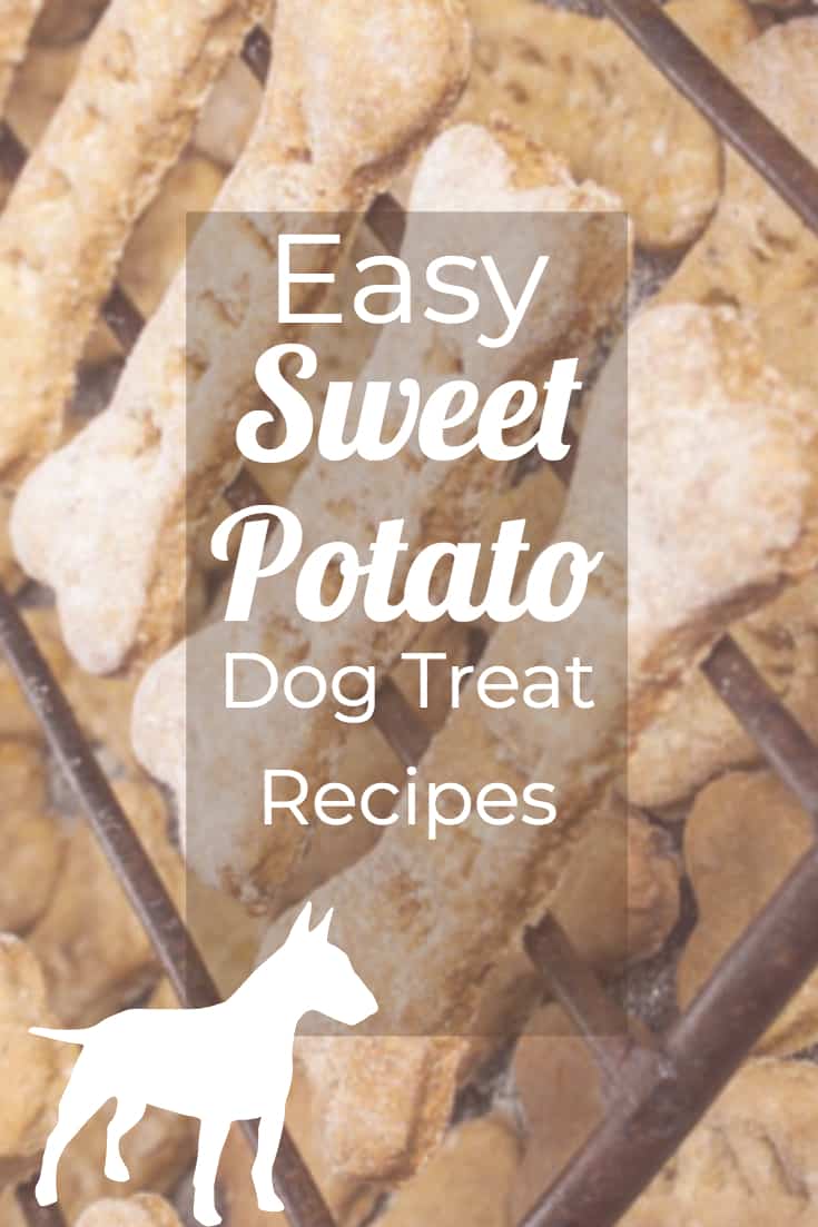 sweet potato dog treat recipe
