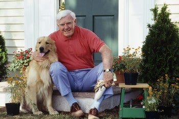 Applying for Help from Pet-Related Nonprofits