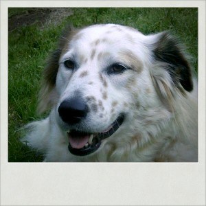 instaphoto-1332810398397