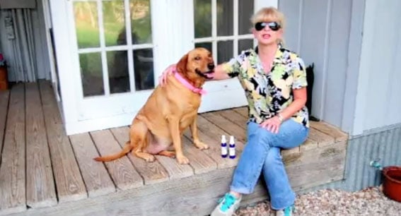 Preparing for the Fourth of July with Canine Calm