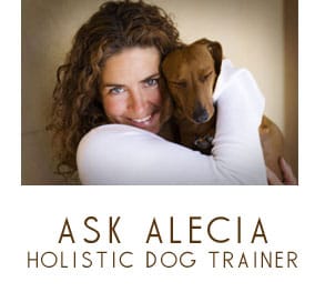 ask-alecia-holistic