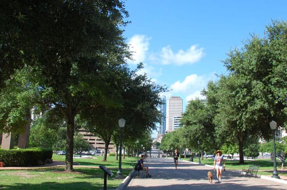 austin-downtown-dog