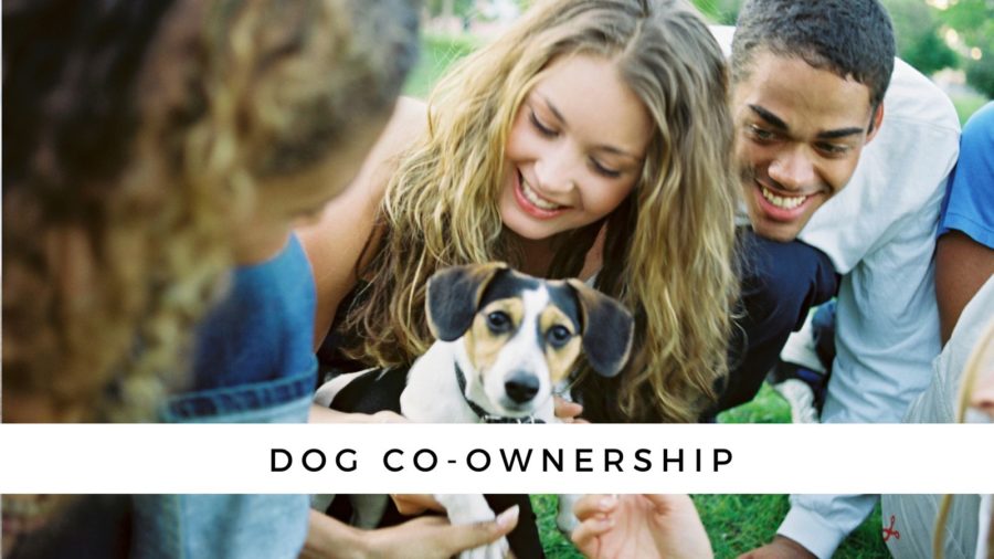 Dog Co-Ownership