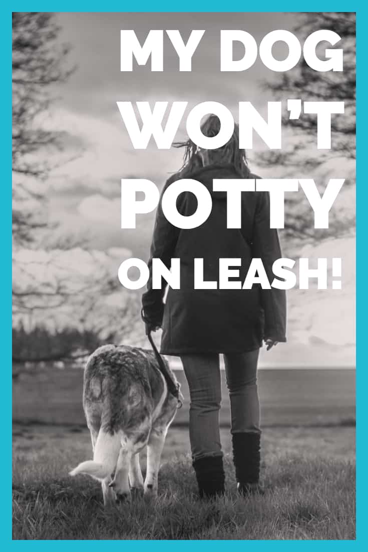 My Dog Won't Potty on Leash!