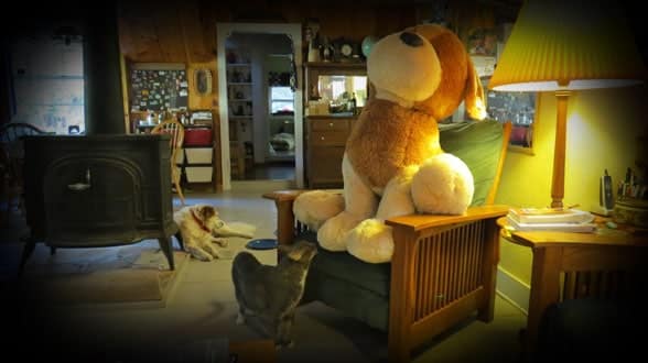 219*365: An Expo Prop…or a Dog Toy?