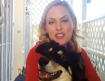 Actress Elaine Hendrix Launches The Pet Matchmaker