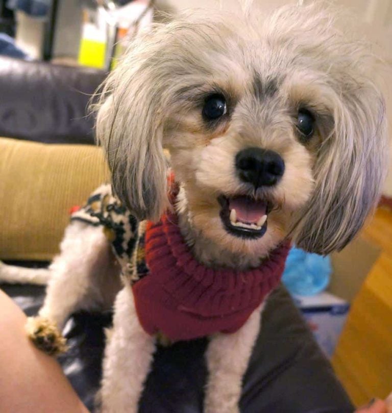 Tessa’s Inspirational Story