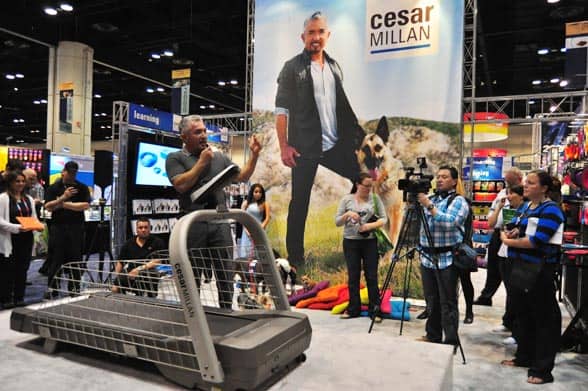 cesar-millan