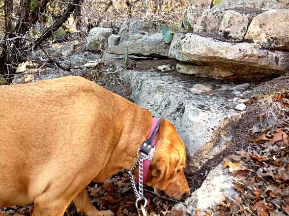 365: Our Winter Hiking Route