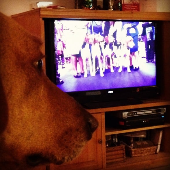 irie-tv