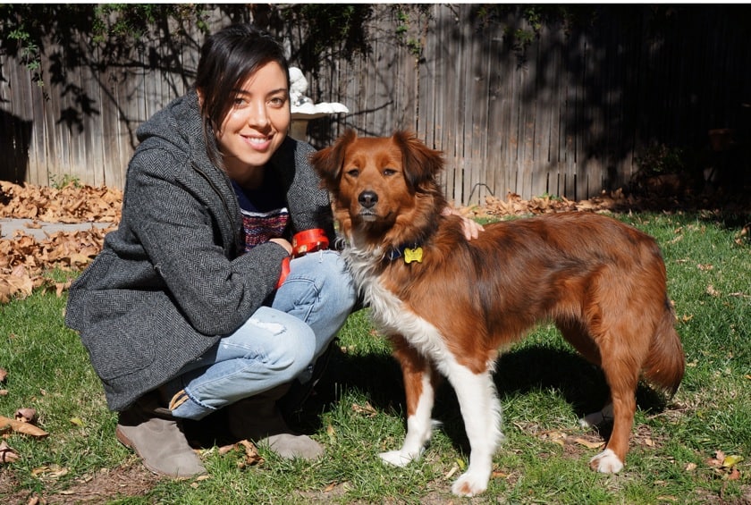 Bill Foundation Dog Rescue Facebook Bill Foundation Dog Rescue Facebook