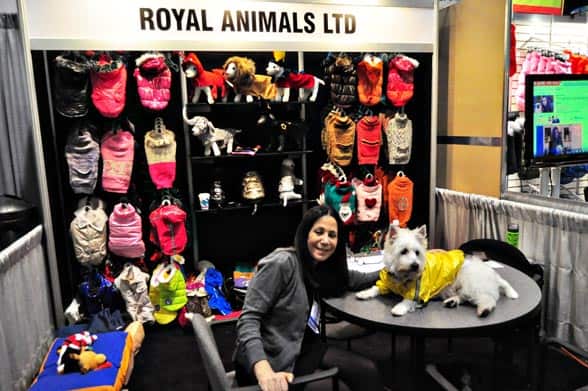 royal-animals