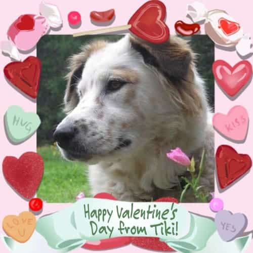 valentines-tiki