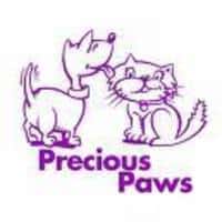 Brady Bunch Stars To Attend Precious Paws Fundraiser
