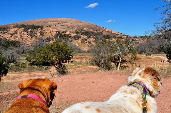 irie-tiki-enchanted-rock