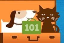 Preparing for Pet Travel