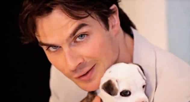 Josie Maran Cosmetics Helps Ian Somerhalder Foundation