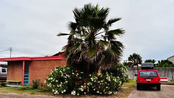 dog-friendly beach cottage-1