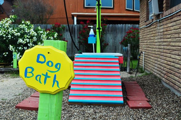 dog-friendly beach cottage-dog-bath