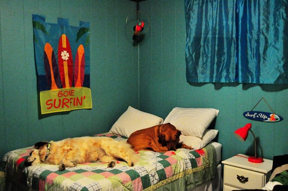 dog-friendly beach cottage-bedroom