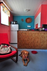 dog-friendly beach cottage-kitchen