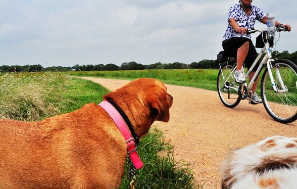 365: Memorial Day Weekend Planning