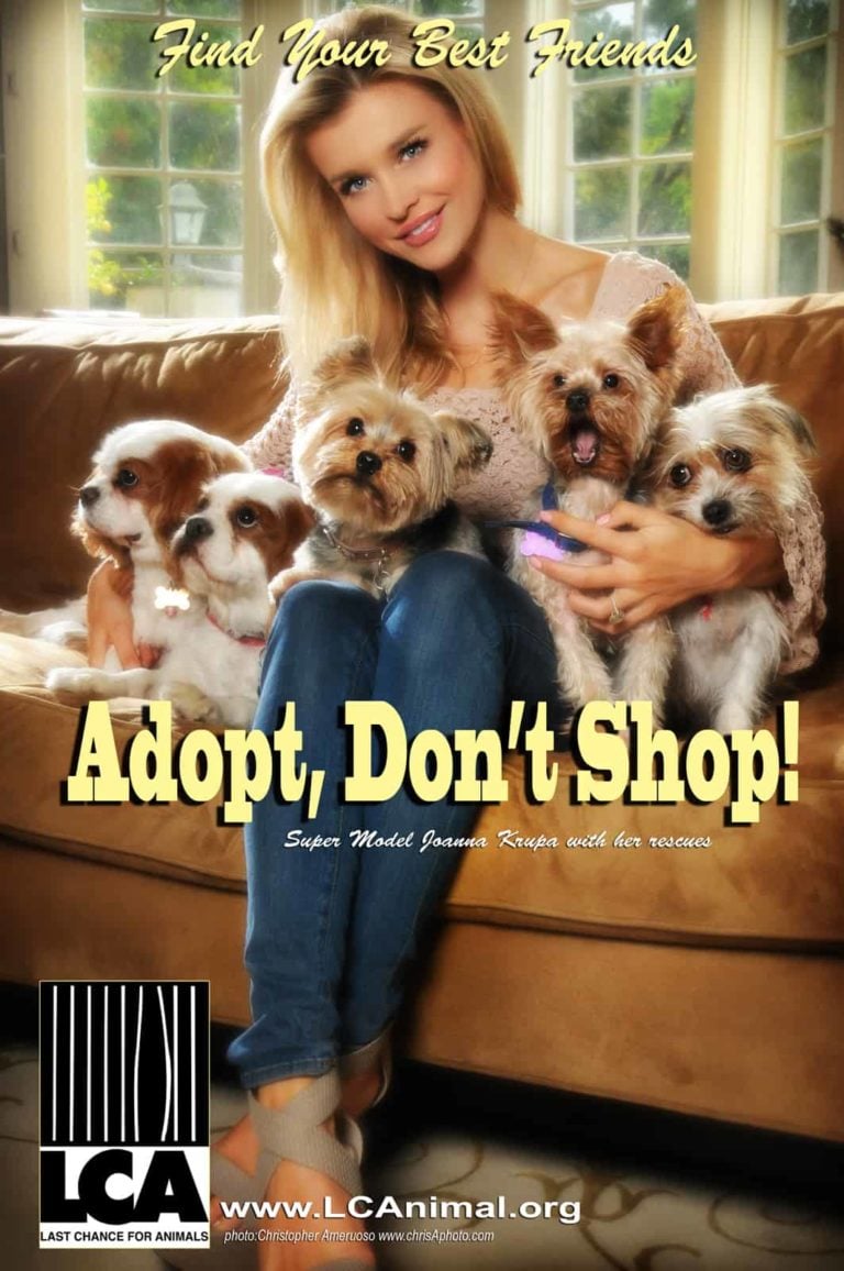 Joanna Krupa Promotes the Option of Pet Adoption