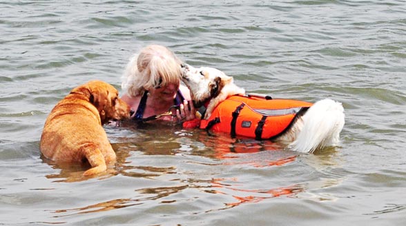 lifevest