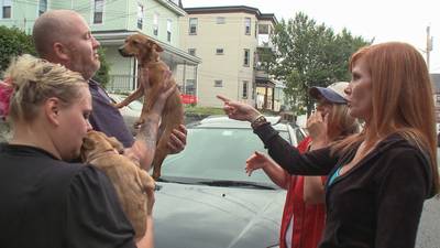 TLC Unleashes ‘Boston Underdogs’ on August 12th