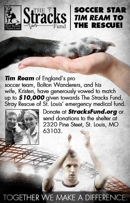 Soccer Star Tim Ream Helps Stray Rescue of St. Louis