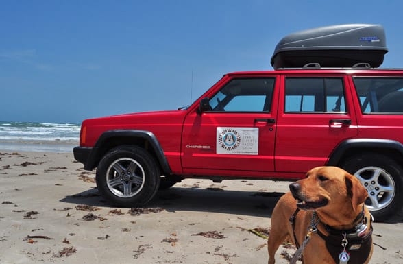 Our Jeep has logged a lot of miles with our dogs--but we know that sooner or later we'll be looking for a replacement.