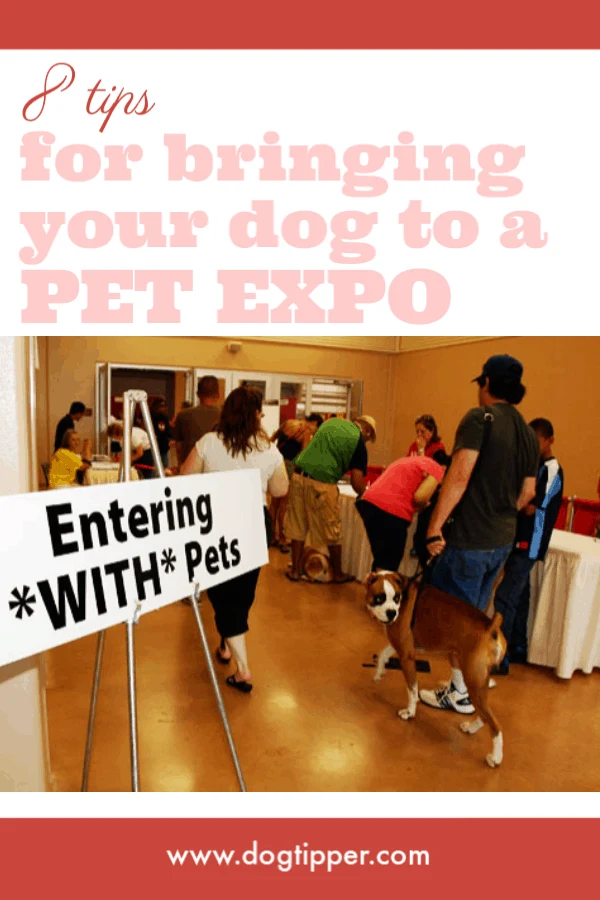 8 Tips for Bringing Your Dog to a Pet Expo