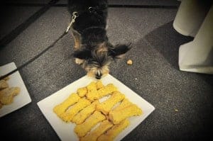 treats-frankie