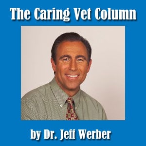 Dr-Jeff-Werber-The-Caring-Vet-Column