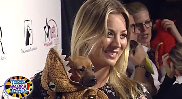 Stars Attend The Big Bark Theory Fundraiser