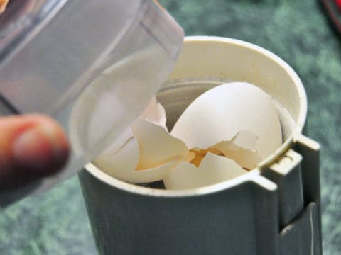 Egg shell powder clearance for dogs