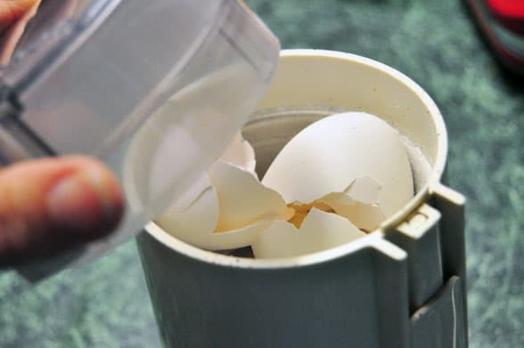 grinding eggshells in coffee grinder