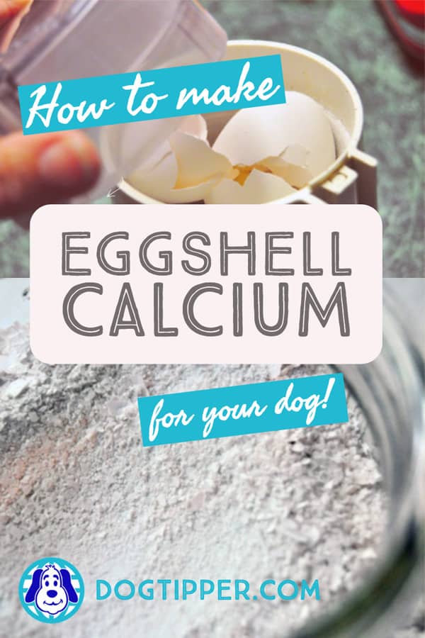 can puppies eat eggshells