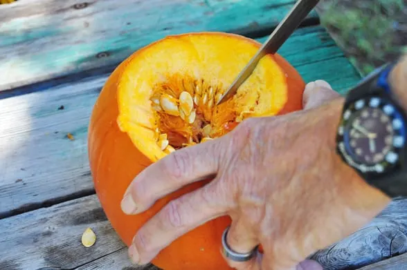 pumpkin - how to make puree