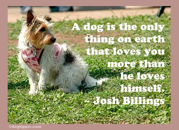 essay on the earth is only home of mankind Everyone ought to know by now that mankind is destroying the earth the earth is our home the only thing that would cause us to go against our conscience is. essay on the earth is only home of mankind Everyone ought to know by now that mankind is destroying the earth the earth is our home the only thing that would cause us to go against our conscience is.