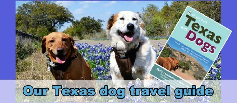 Texas with Dogs cover