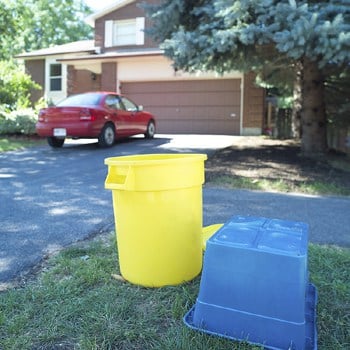 Organizing Your Dog Gear