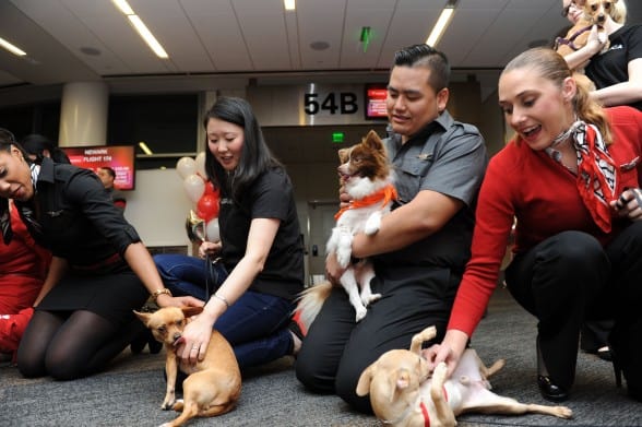 VIRGIN AMERICA OPERATION CHIHUAHUA