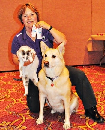 Being Prepared for Emergencies with Dr. Emmo’s!