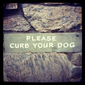 curb-your-dog