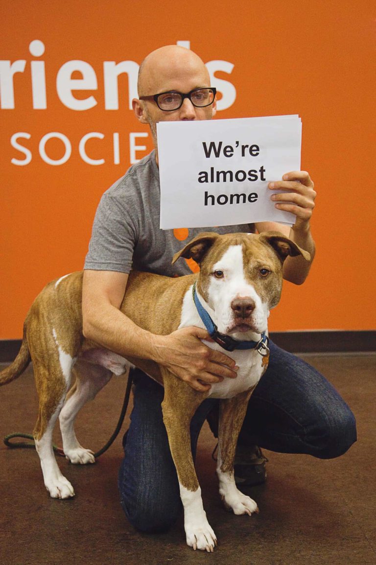 Moby Promotes the Option of Pet Adoption with Music Video
