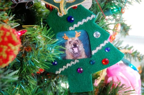ornament-yoda